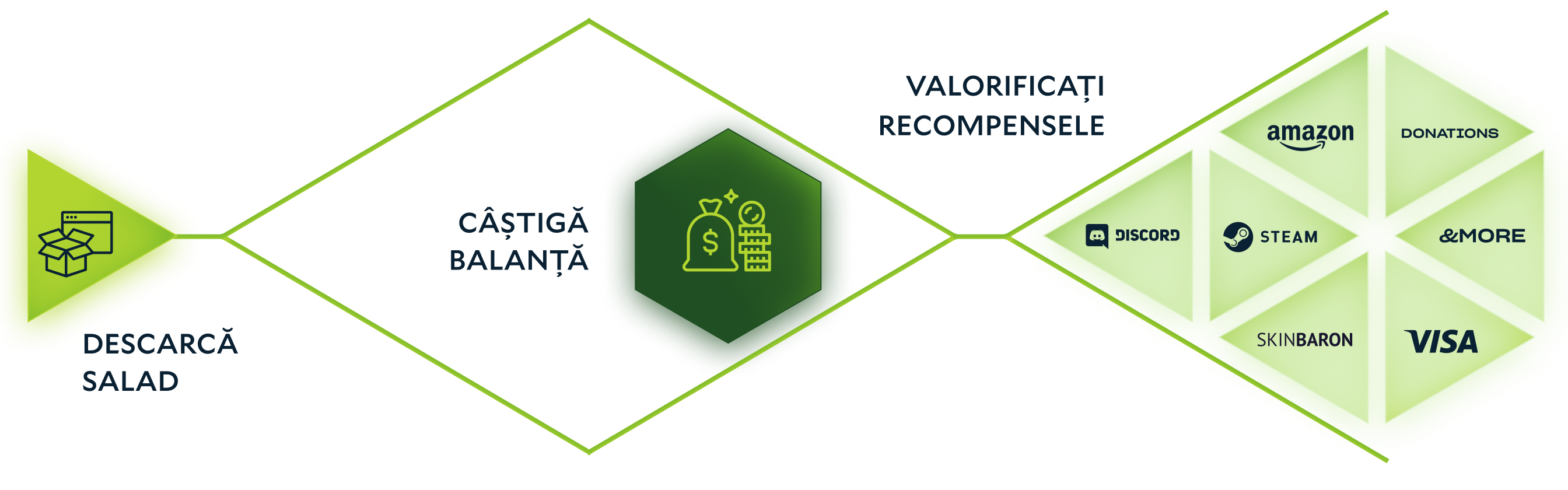 A diagram of how Salad works (in Romanian text).